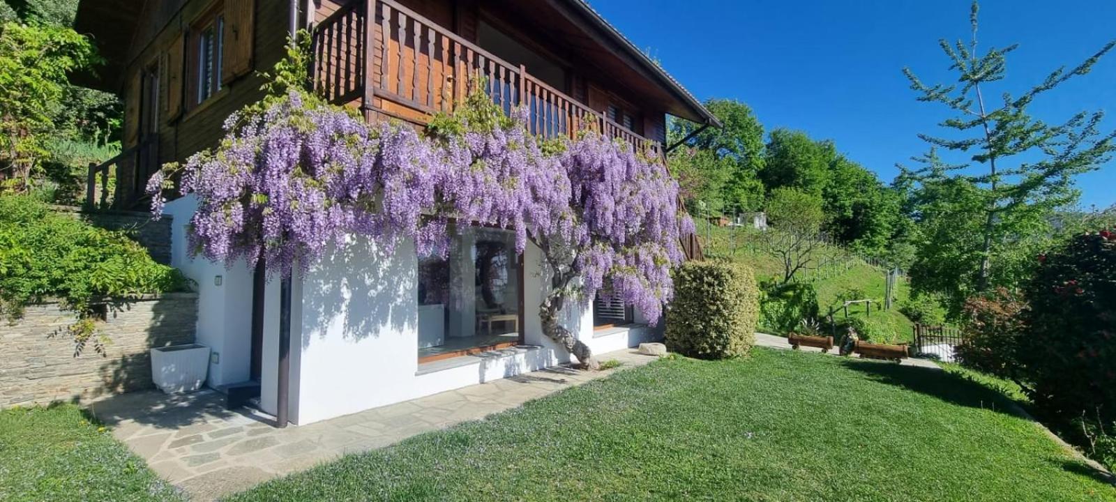 Chalet Sophie - Luxury Chalet Roletto Exterior photo